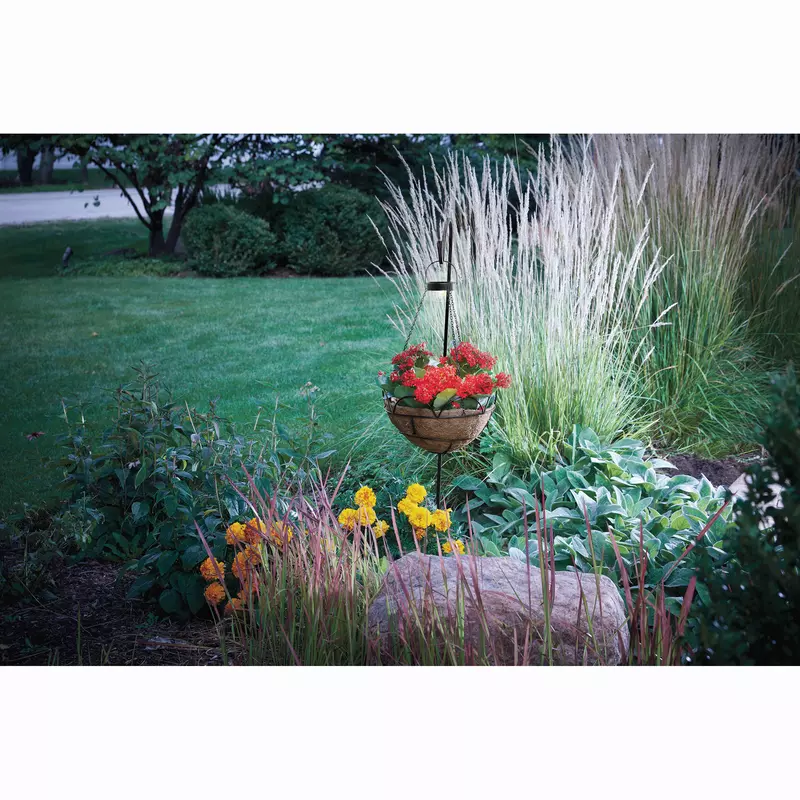 SP24_SF_6307531_121117_WP001